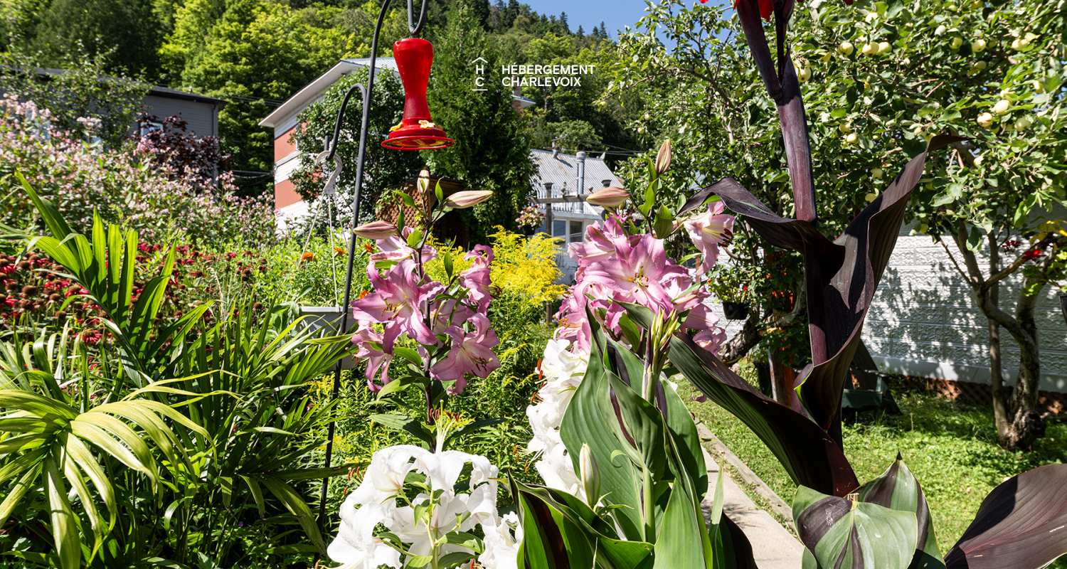 LOG-911 - In the heart of the village